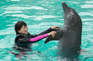 Cathryn Chee with a Dolphin