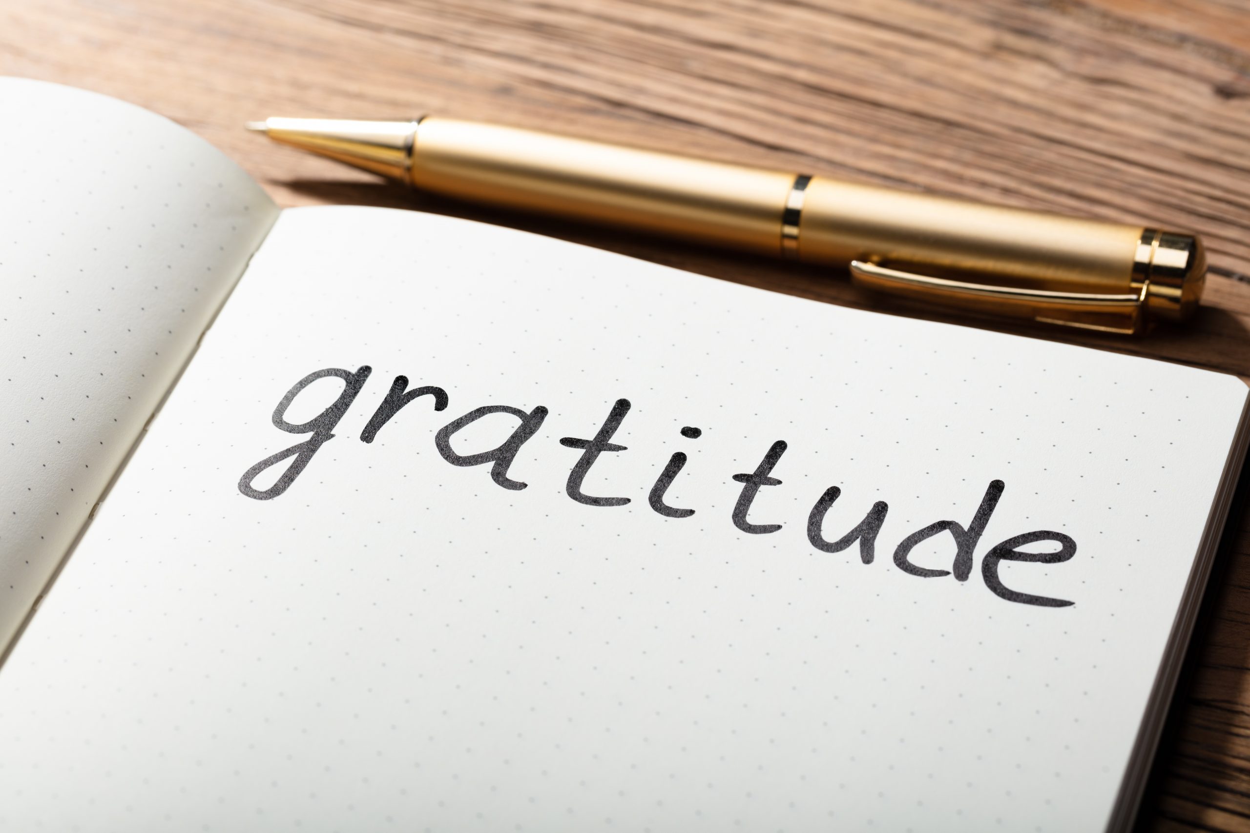 The Grateful Agile Leader, By Susan Parente