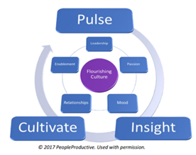 Flourishing Culture - Pulse, Cultivate, Insights