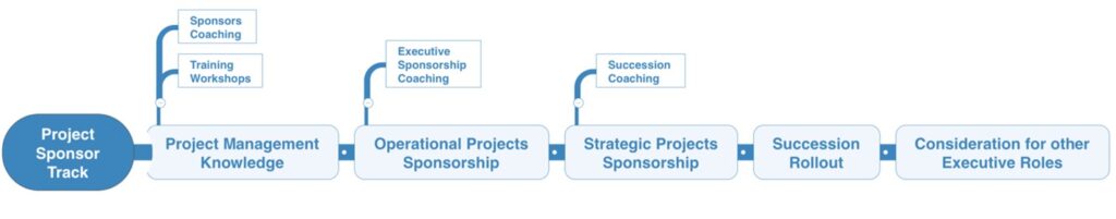 Figure S4-7. Future Concept for a Project Sponsor Track